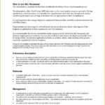 Risk Management Report Template In It Management Report Template