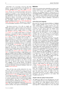 Sage - Sage Open Template pertaining to Journal Paper Template Word