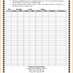 Spreadsheet Diabetes Tracking Blood Glucose Log Book Free Pertaining To Book Report Template In Spanish