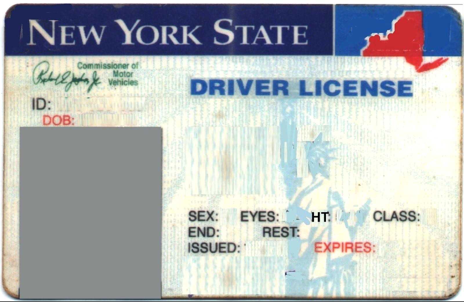State Id Templates Free – Karan.ald2014 Intended For Blank Drivers License Template