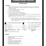 Summary Report Template throughout Template For Summary Report