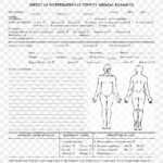 Template Autopsy Microsoft Word Report Résumé, Png In Autopsy Report Template