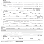 Texas Blue Form – Fill Out And Sign Printable Pdf Template | Signnow Throughout Vehicle Accident Report Form Template