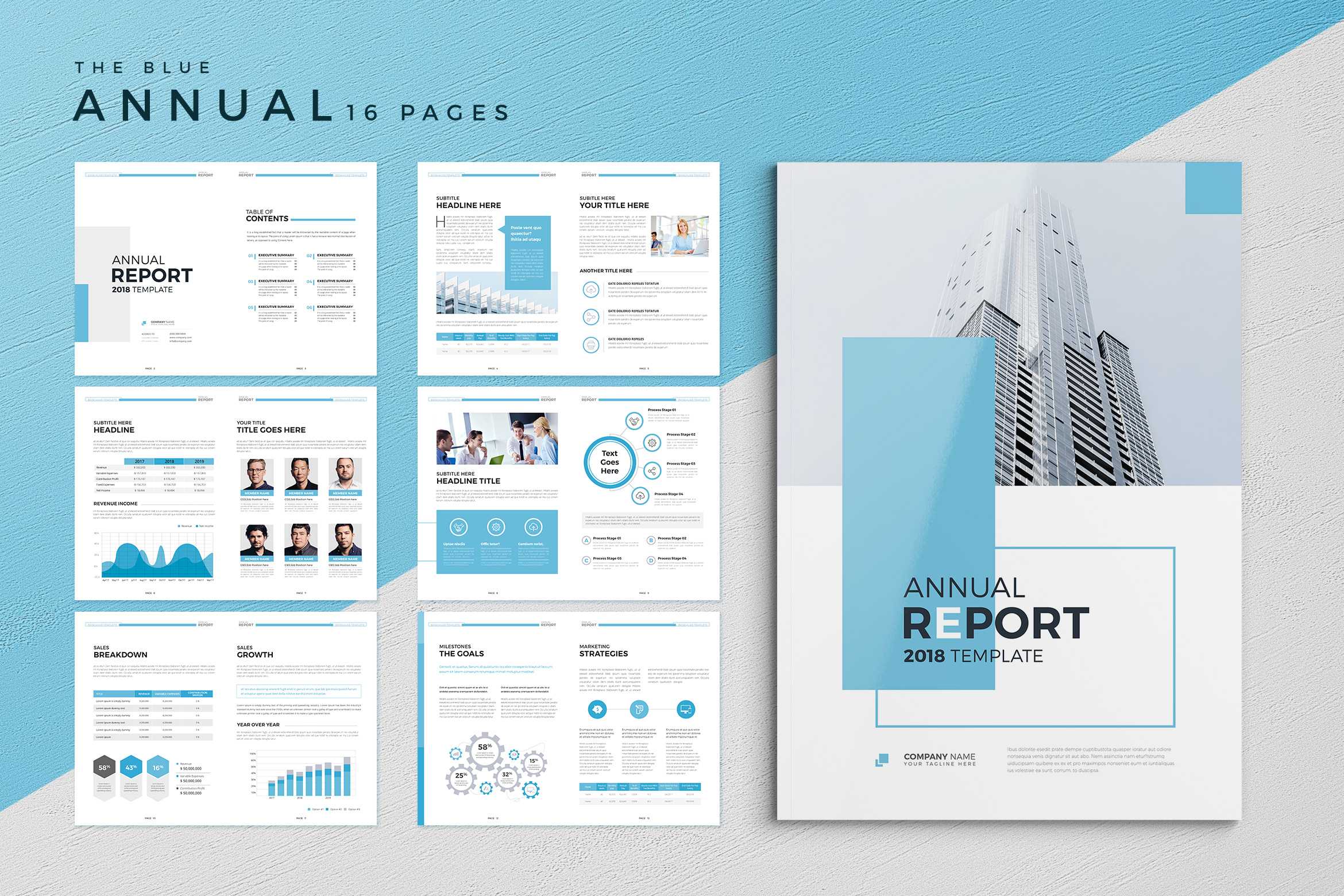 The Blue Annual Report With Regard To Summary Annual Report Template