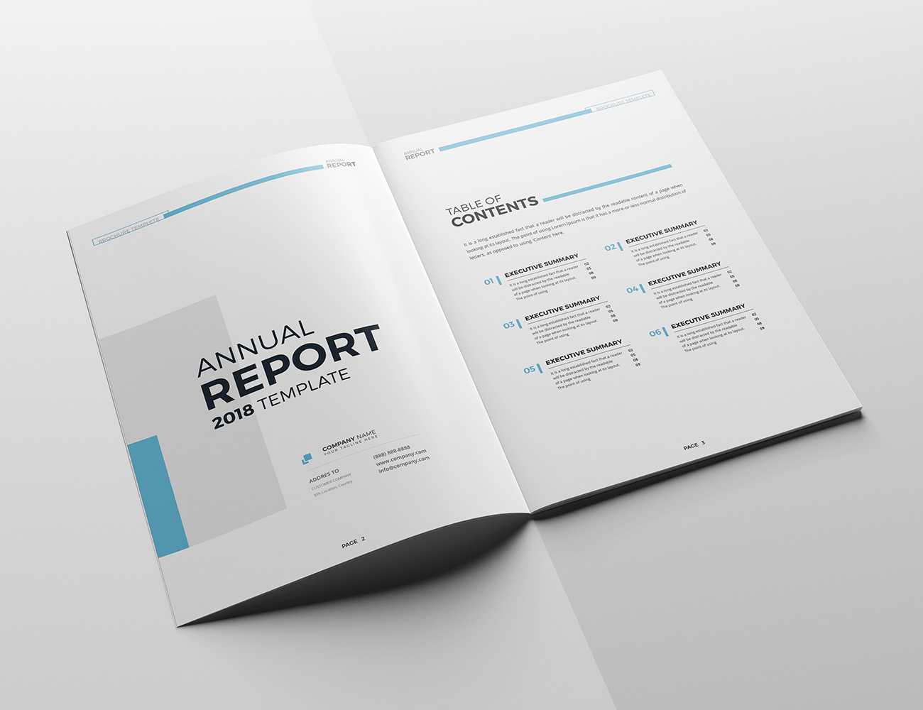 The Blue Annual Report Within Summary Annual Report Template